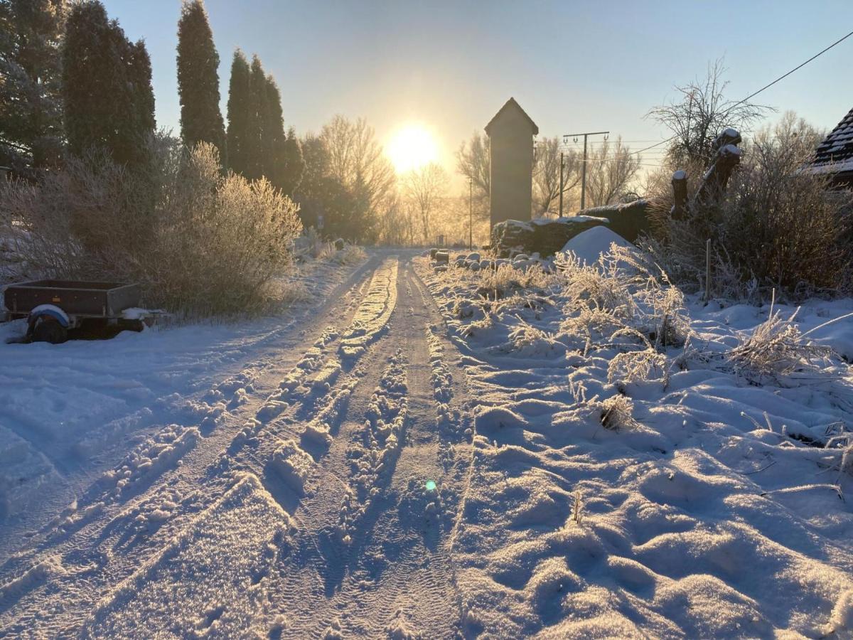 Ferienwohnung Im Gutshaus Alt Krassow Inmitten Der Natur Lalendorf Buitenkant foto