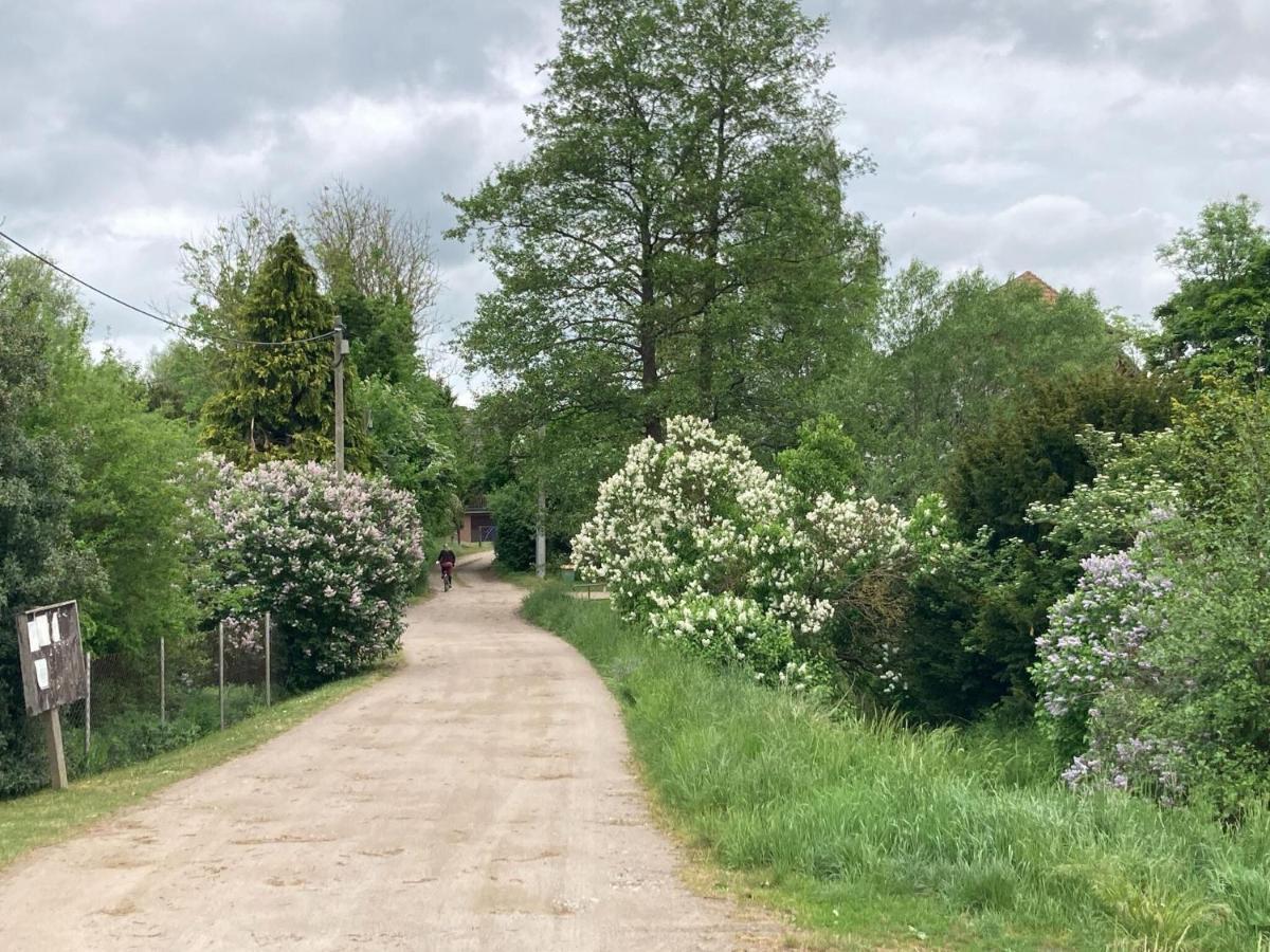 Ferienwohnung Im Gutshaus Alt Krassow Inmitten Der Natur Lalendorf Buitenkant foto