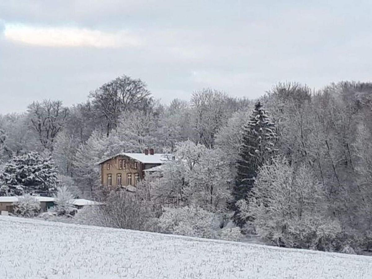 Ferienwohnung Im Gutshaus Alt Krassow Inmitten Der Natur Lalendorf Buitenkant foto