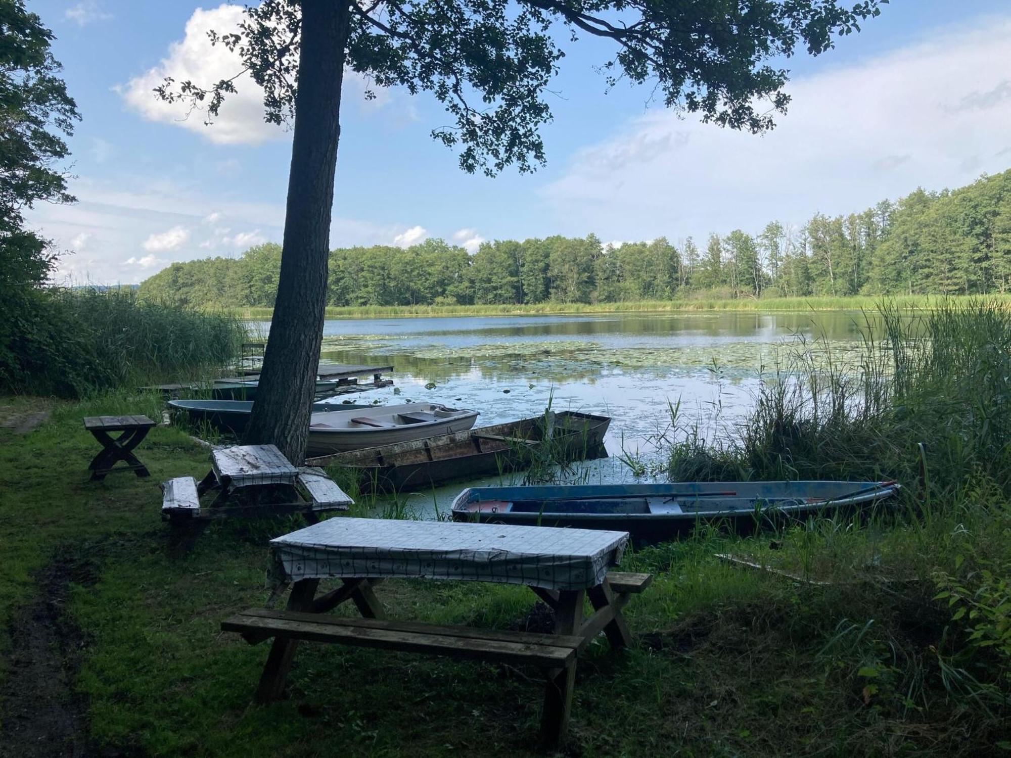 Ferienwohnung Im Gutshaus Alt Krassow Inmitten Der Natur Lalendorf Buitenkant foto