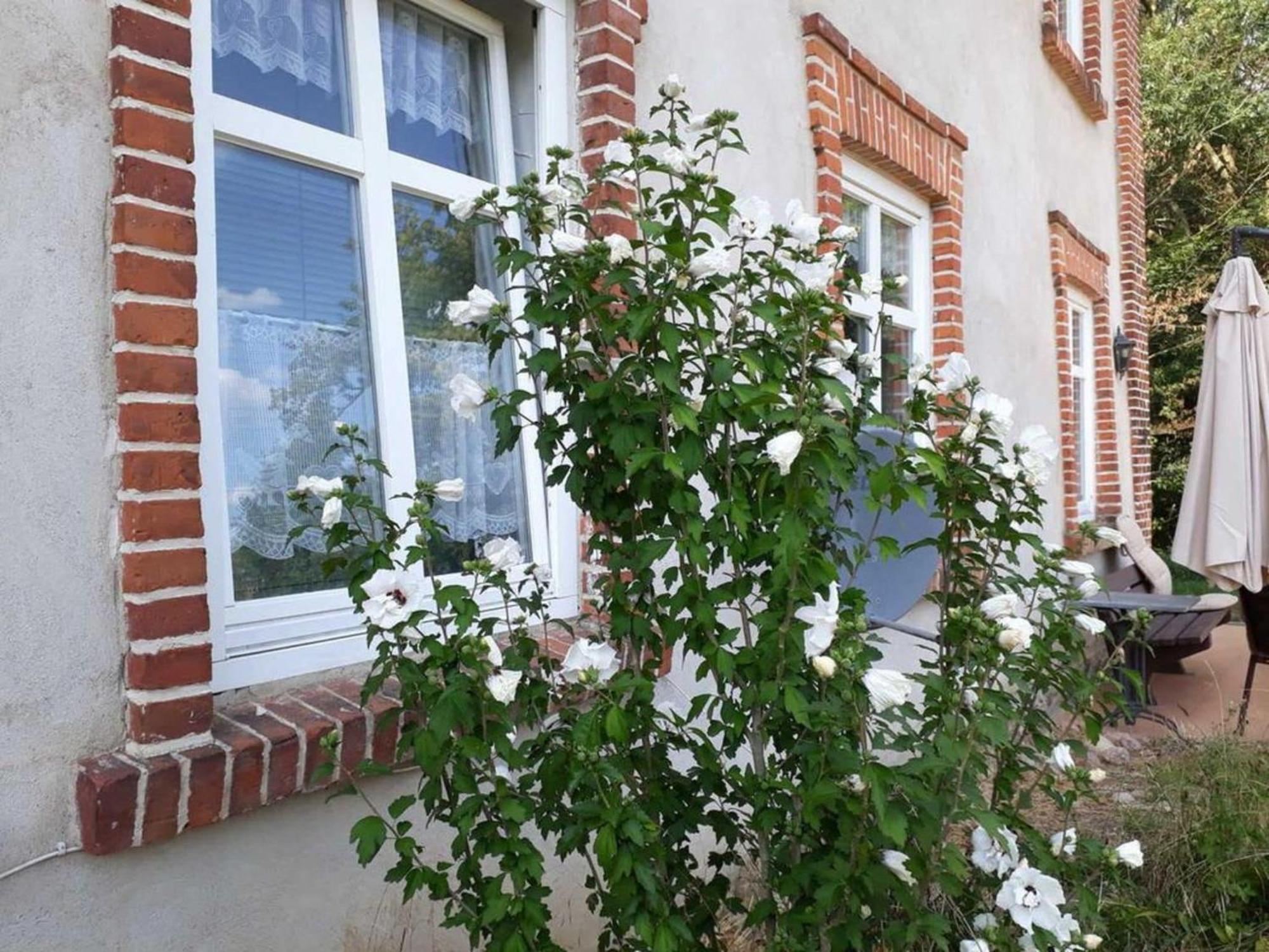 Ferienwohnung Im Gutshaus Alt Krassow Inmitten Der Natur Lalendorf Buitenkant foto