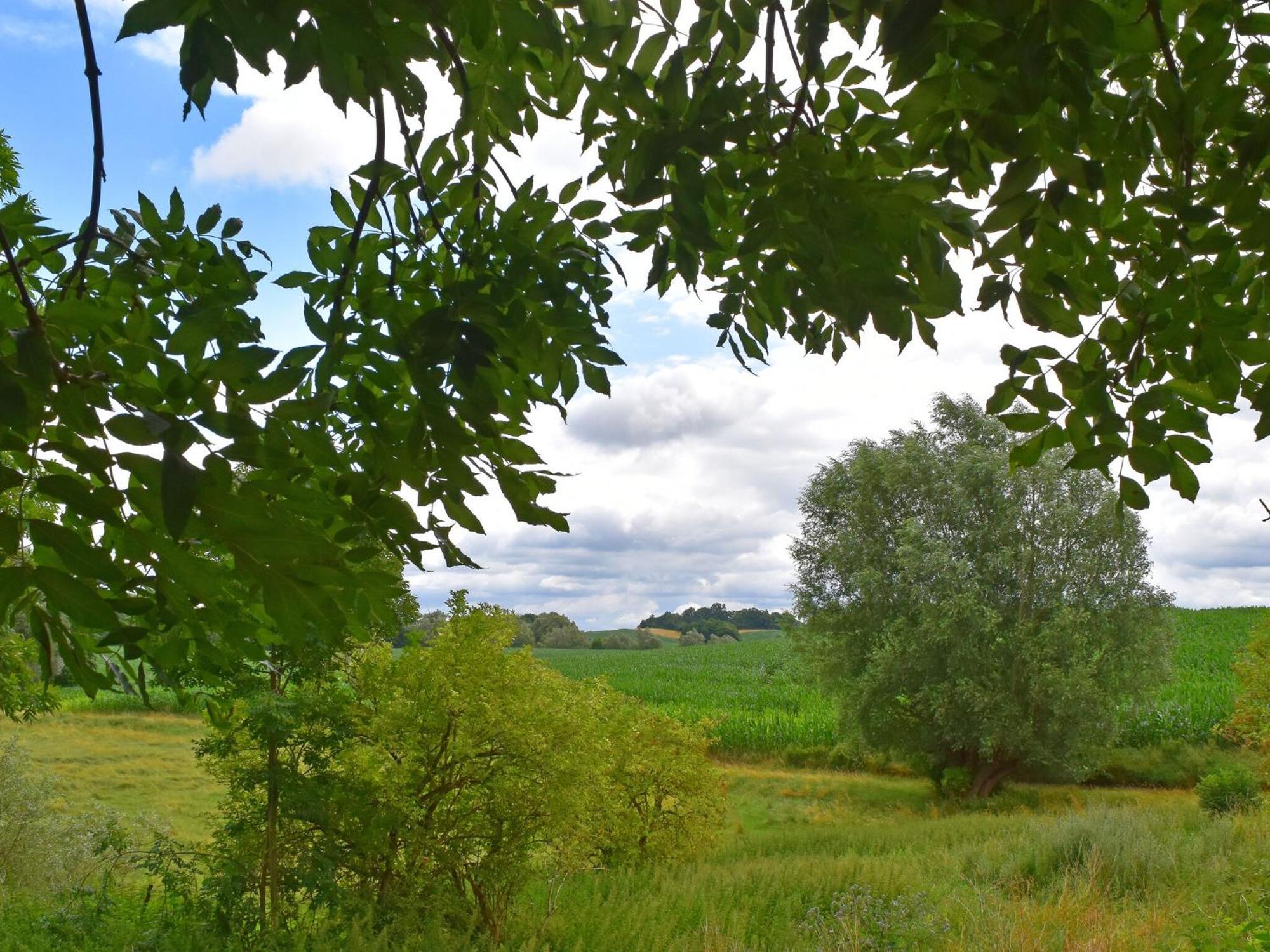 Ferienwohnung Im Gutshaus Alt Krassow Inmitten Der Natur Lalendorf Buitenkant foto